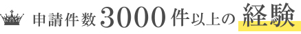 申請件数　3000件以上の経験